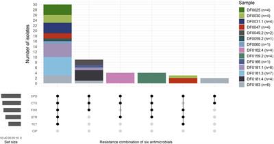 Prevalence and distribution of extended-spectrum β-lactamase and AmpC-producing Escherichia coli in two New Zealand dairy farm environments